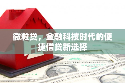 阿莲微粒贷，金融科技时代的便捷借贷新选择