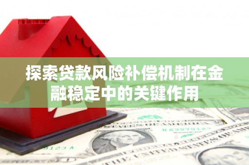 阿莲探索贷款风险补偿机制在金融稳定中的关键作用