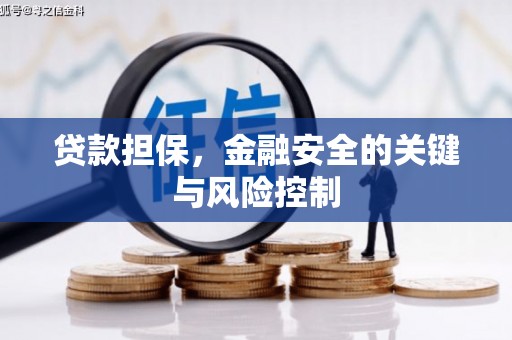 阿莲贷款担保，金融安全的关键与风险控制