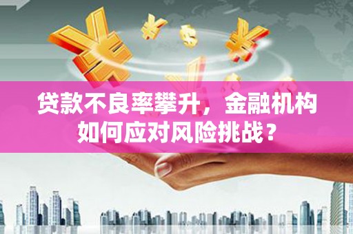 阿莲贷款不良率攀升，金融机构如何应对风险挑战？