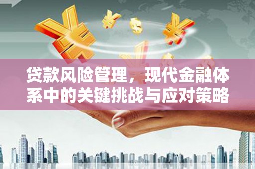 阿莲贷款风险管理，现代金融体系中的关键挑战与应对策略
