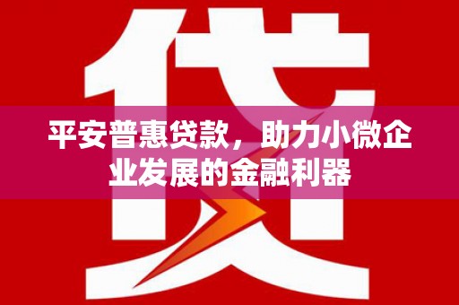 阿莲平安普惠贷款，助力小微企业发展的金融利器