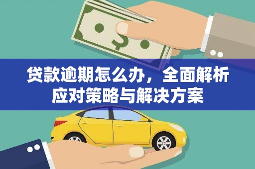 阿莲贷款逾期怎么办，全面解析应对策略与解决方案