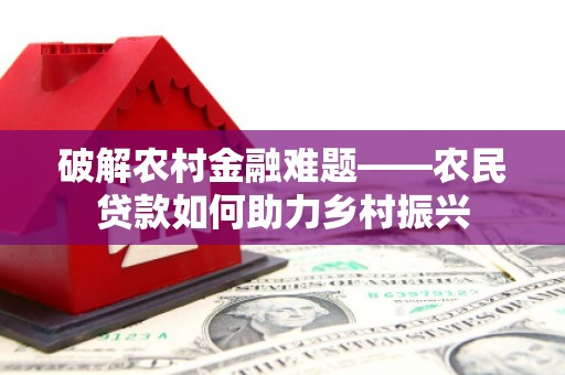 阿莲破解农村金融难题——农民贷款如何助力乡村振兴