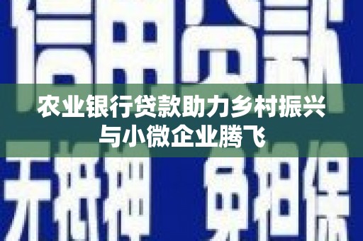 阿莲农业银行贷款助力乡村振兴与小微企业腾飞