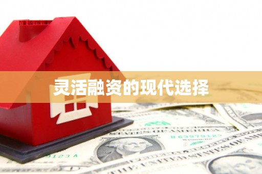 阿莲灵活融资的现代选择