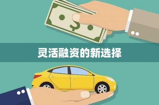 阿莲灵活融资的新选择