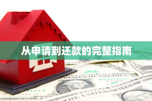 阿莲从申请到还款的完整指南