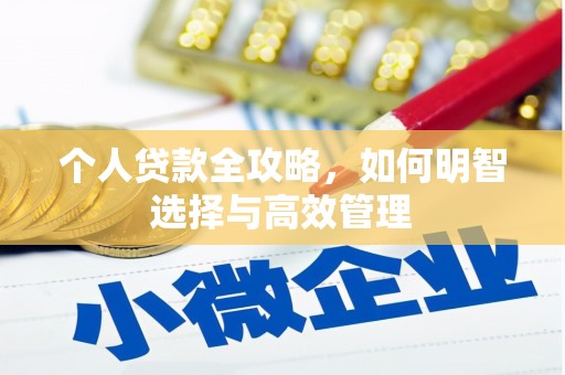 阿莲个人贷款全攻略，如何明智选择与高效管理