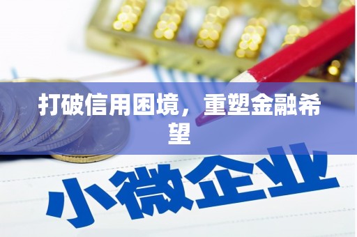 阿莲打破信用困境，重塑金融希望
