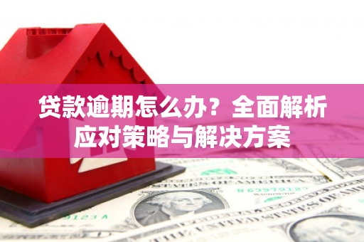 阿莲贷款逾期怎么办？全面解析应对策略与解决方案