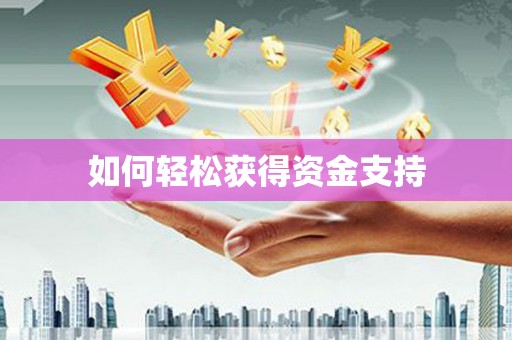 阿莲如何轻松获得资金支持
