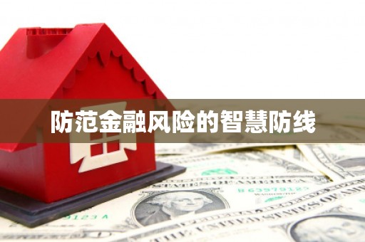 阿莲防范金融风险的智慧防线