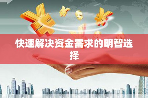 阿莲快速解决资金需求的明智选择