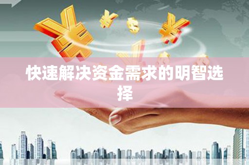 阿莲快速解决资金需求的明智选择