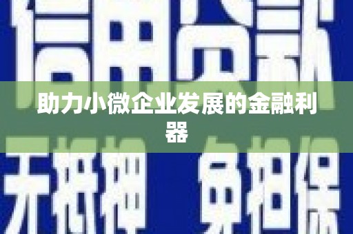 阿莲助力小微企业发展的金融利器