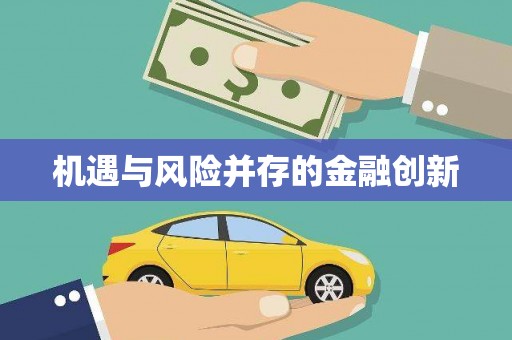 阿莲机遇与风险并存的金融创新
