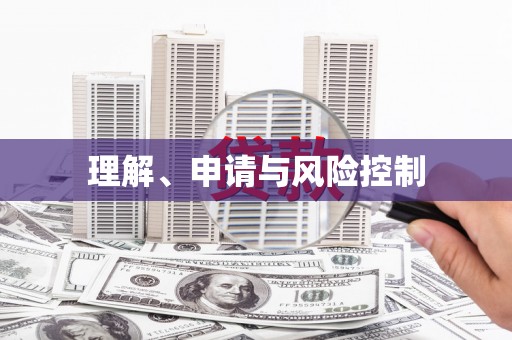 阿莲理解、申请与风险控制