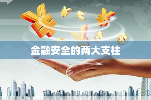阿莲金融安全的两大支柱