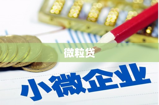 阿莲微粒贷