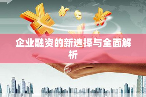 阿莲企业融资的新选择与全面解析