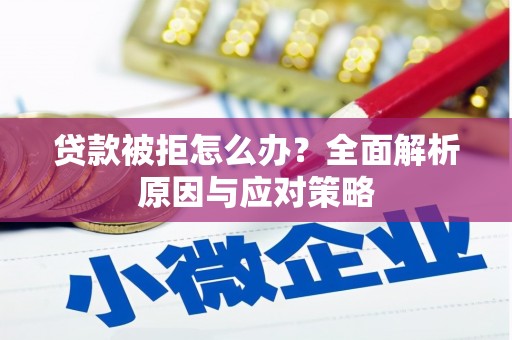 阿莲贷款被拒怎么办？全面解析原因与应对策略
