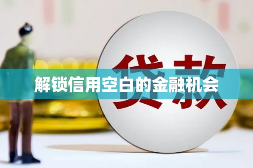 阿莲解锁信用空白的金融机会