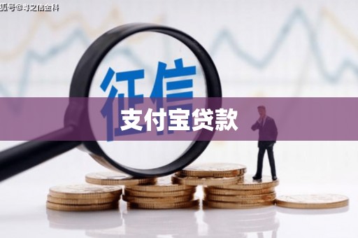 阿莲支付宝贷款