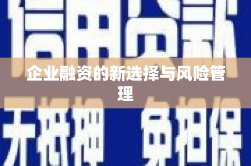 阿莲企业融资的新选择与风险管理