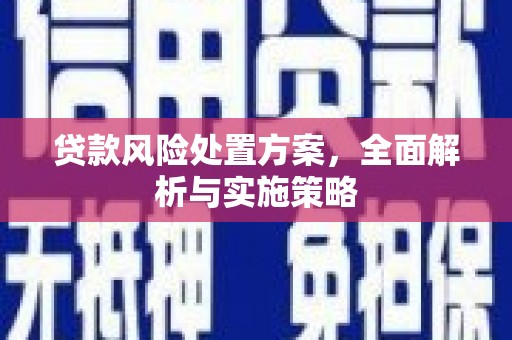 阿莲贷款风险处置方案，全面解析与实施策略