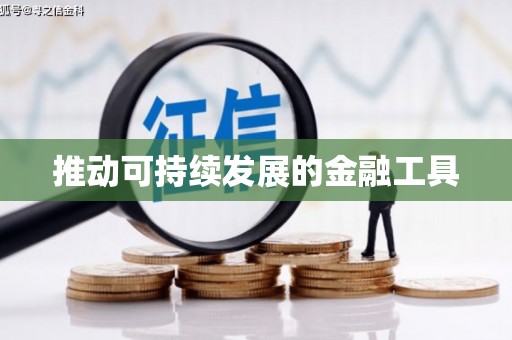 阿莲推动可持续发展的金融工具