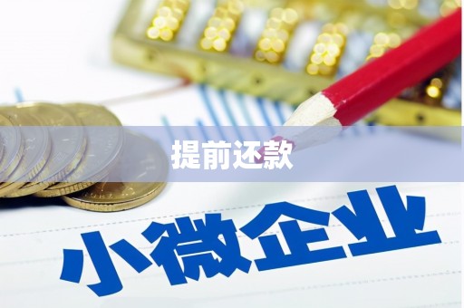 阿莲提前还款