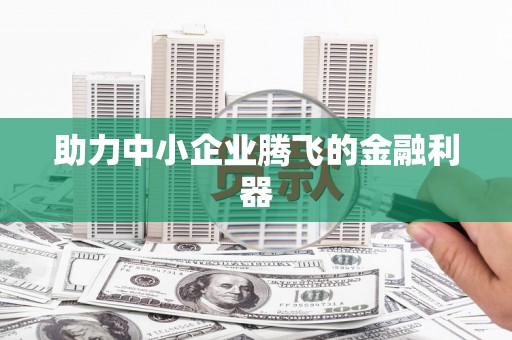 阿莲助力中小企业腾飞的金融利器