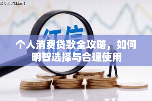 阿莲个人消费贷款全攻略，如何明智选择与合理使用