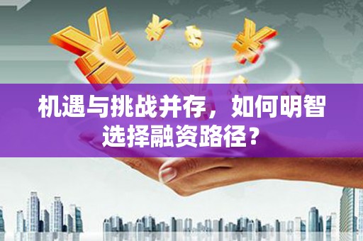 阿莲机遇与挑战并存，如何明智选择融资路径？