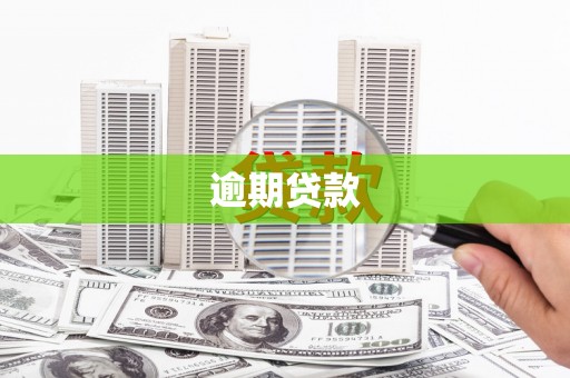 阿莲逾期贷款
