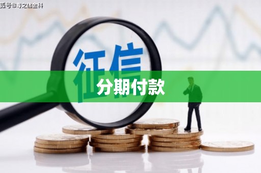 阿莲分期付款