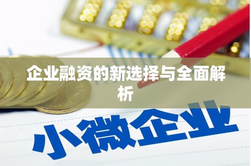 阿莲企业融资的新选择与全面解析