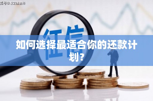 阿莲如何选择最适合你的还款计划？