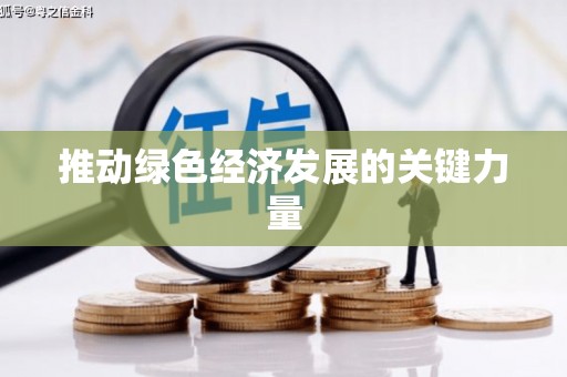 阿莲推动绿色经济发展的关键力量