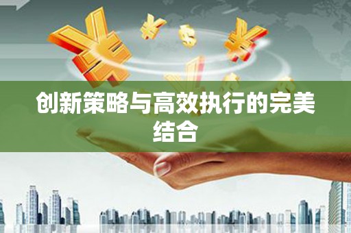 阿莲创新策略与高效执行的完美结合