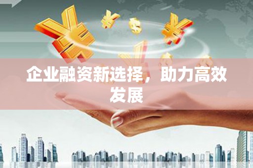 阿莲企业融资新选择，助力高效发展