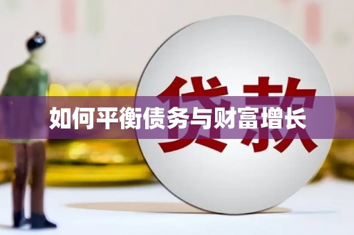 阿莲如何平衡债务与财富增长