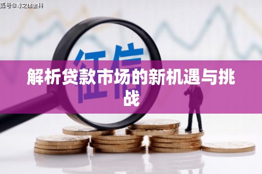 阿莲解析贷款市场的新机遇与挑战