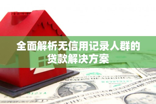阿莲全面解析无信用记录人群的贷款解决方案