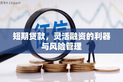 阿莲短期贷款，灵活融资的利器与风险管理