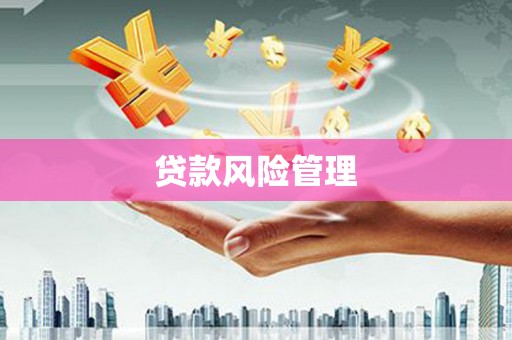 阿莲贷款风险管理