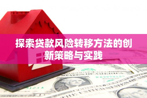 阿莲探索贷款风险转移方法的创新策略与实践