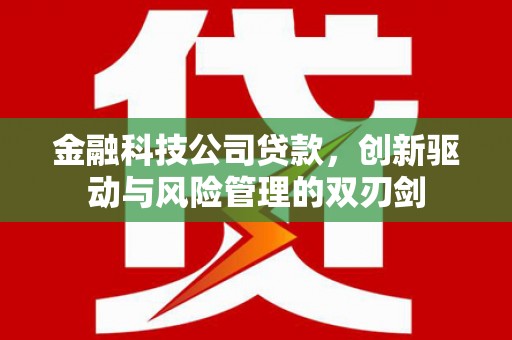 阿莲金融科技公司贷款，创新驱动与风险管理的双刃剑