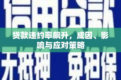 阿莲贷款违约率飙升，成因、影响与应对策略